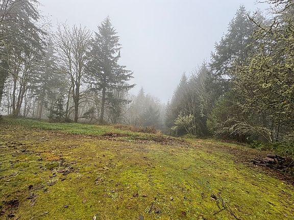 3rd image of 10203 Brooks Ln SE