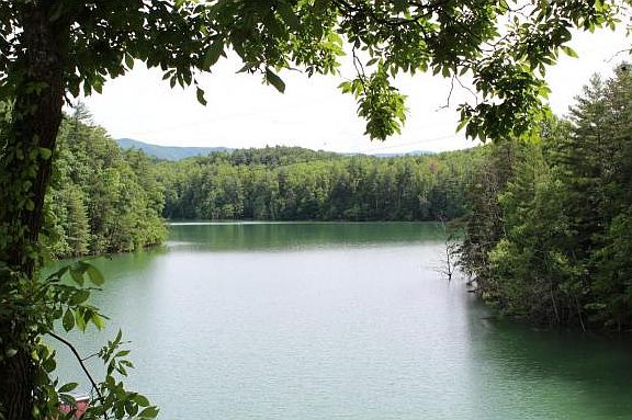 2nd image of 154 Trinity Cove Private Dr