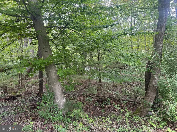 Van Buren Rd, Maurertown, VA 22644