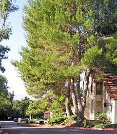 1st image of 3698 Rocky Creek Ct