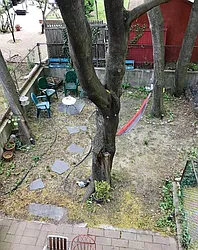 Rented by Blue Egg Realty Corp