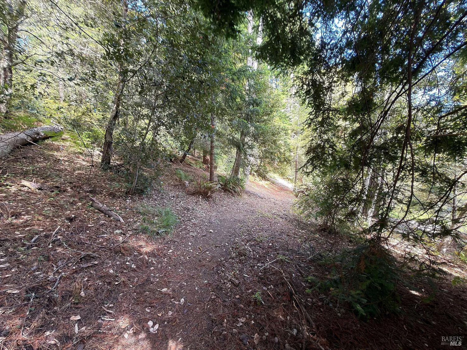 76 Compass Close - Photo 5