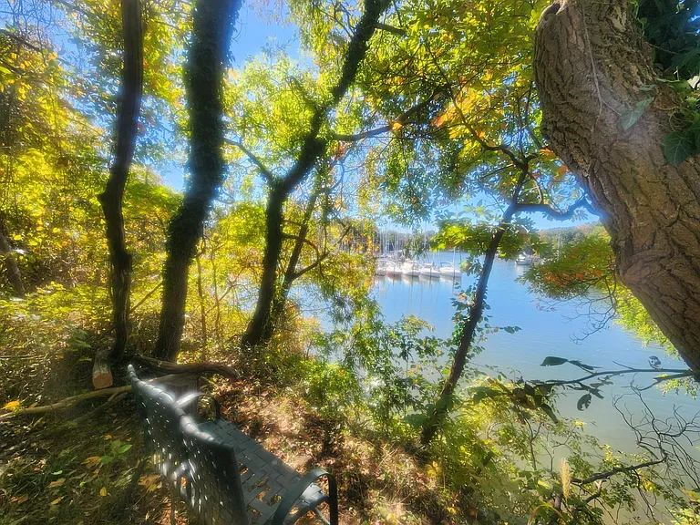 1520 Ridout Ln — Photo 65