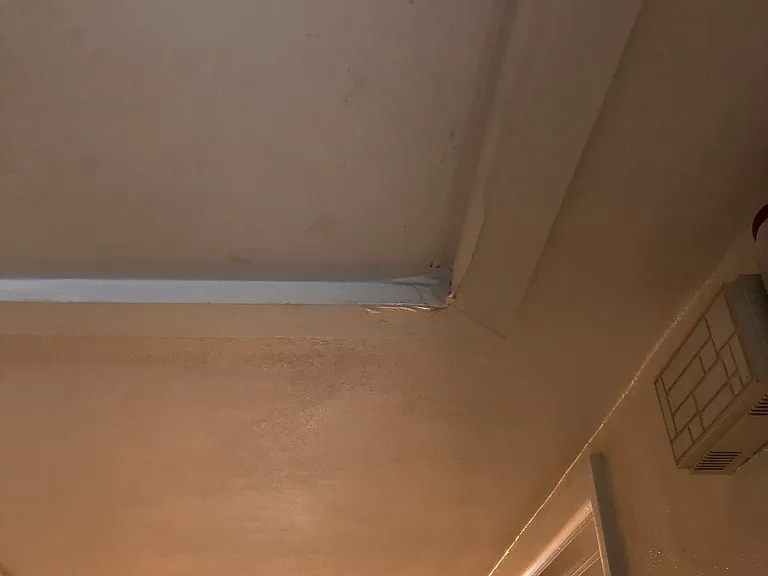 905 Espanola Way — Photo 16