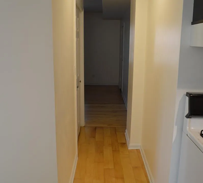 Hall between kitchen and Living room