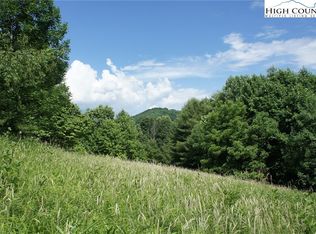 Tbd Dewitt Barnett Rd, Vilas, NC 28692