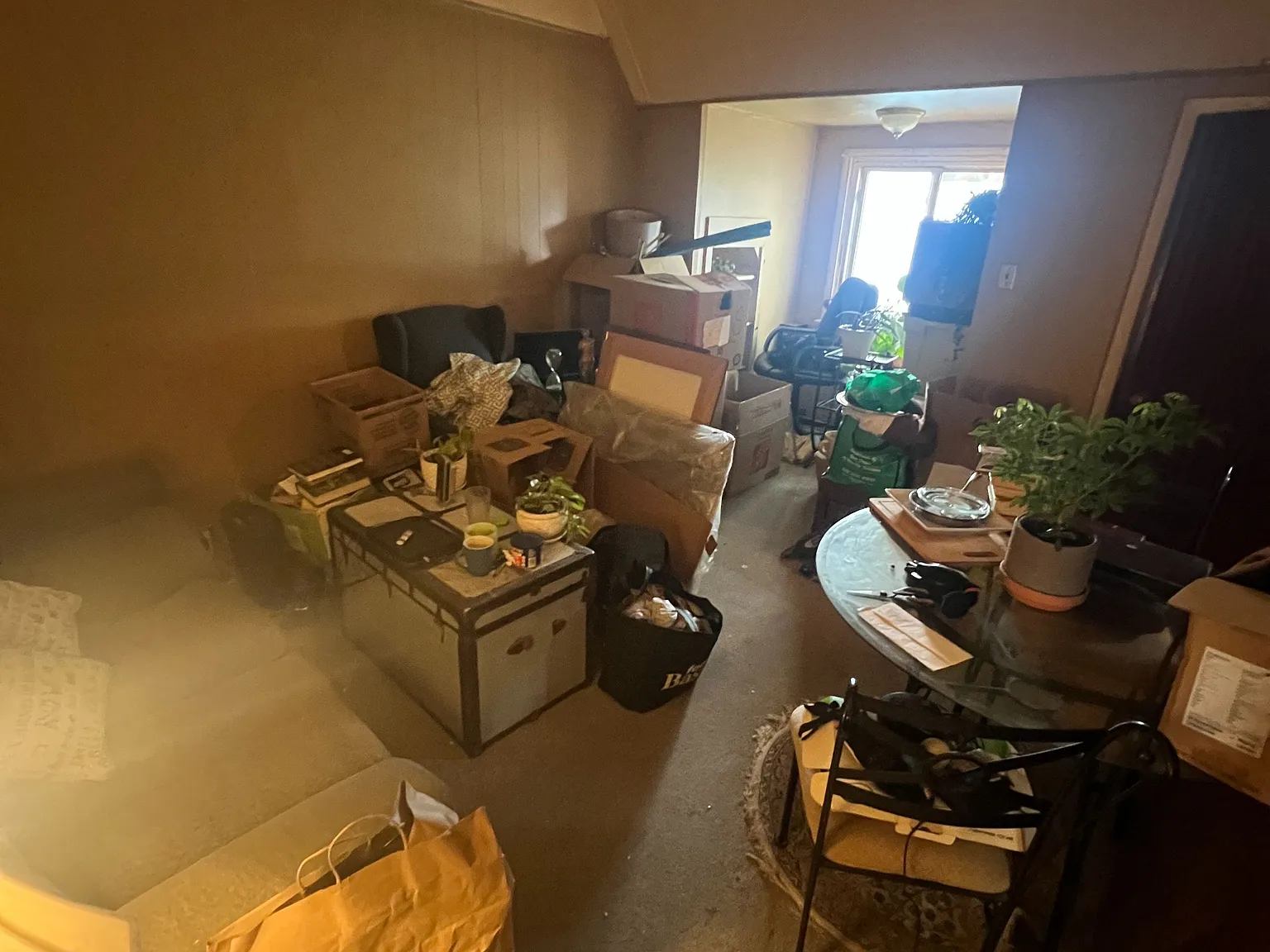 1 bed, $995 — Photo 3
