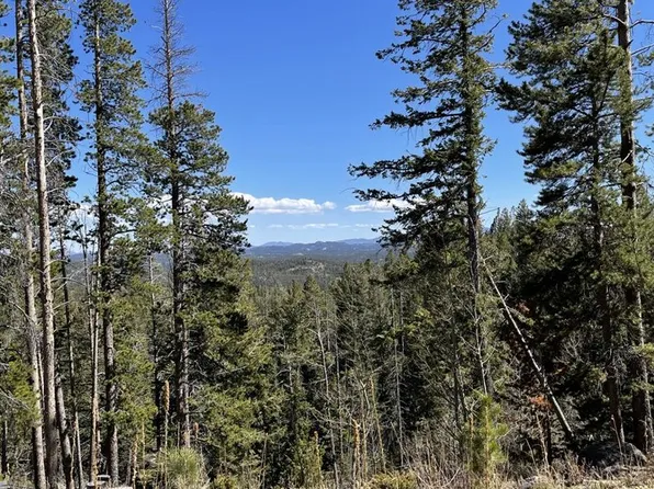66 Piegan Ct, Red Feather Lakes, CO 80545