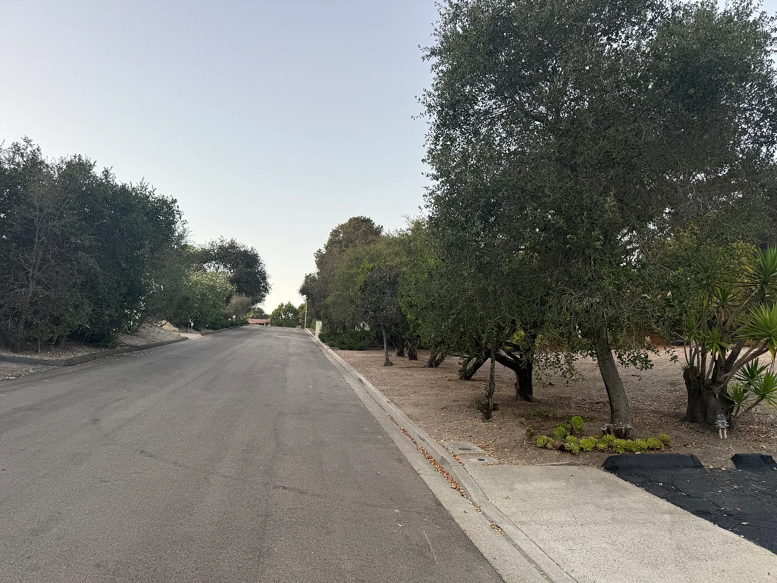 3 bed, 2311 sqft, $4,500 — Photo 3