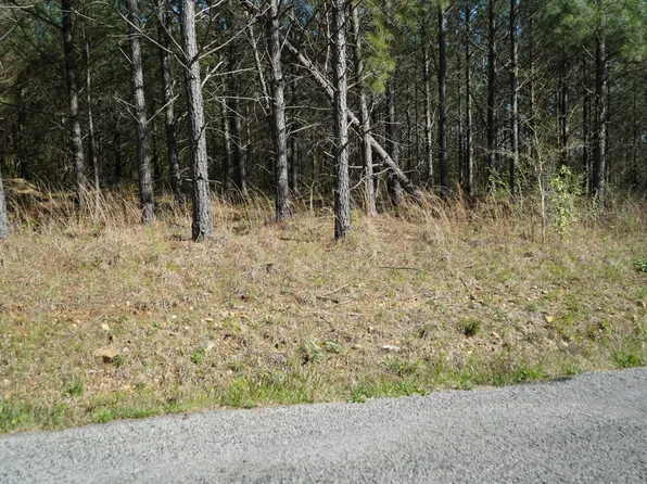 16 Ribbon Branch Rd, Dover, TN 37058