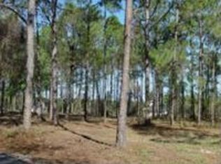 9739 Tower Pine Dr, Winter Garden, FL 34787