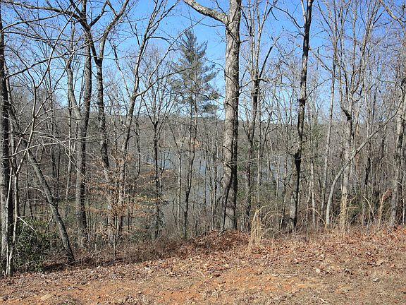 5th image of 0 S Laceola Rd Lot 1
