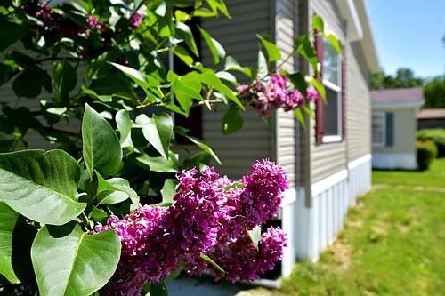 Kingsbrook Estates Photo 1