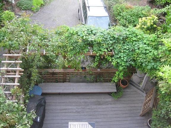 Deck from driveway