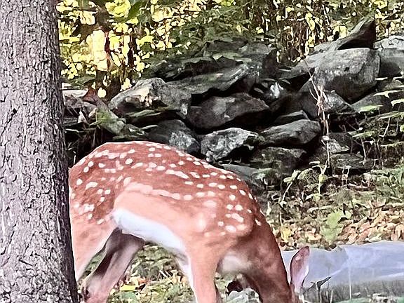 This mornings breakfast co