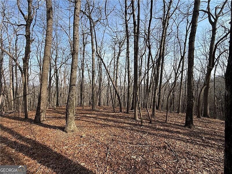 2nd image of 0 Burnt Mountain Rd