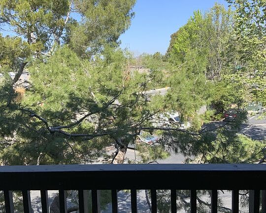 3rd image of 3205 Raintree Cir