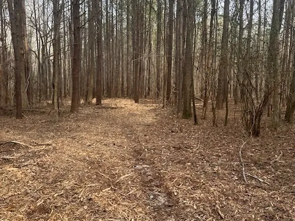 0 Main St Lot 4, Milner, GA 30257