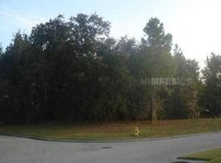 904 Palacio De Avila, Tampa, FL 33613