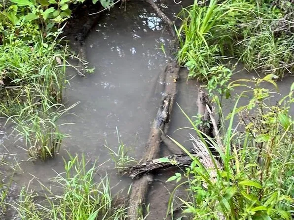 0 County Road A19 #227, Eminence, MO 65466