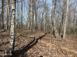 0 Parkstown Ext LOT 80, Wilder, TN 38589