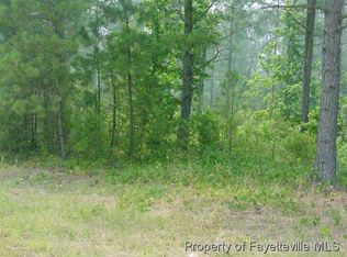 State Highway 210 S, Bunnlevel, NC 28323