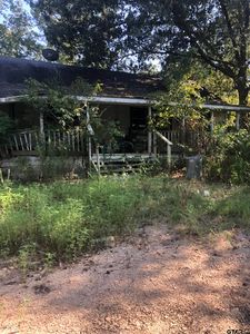 290 Morris Cres #4210, Daingerfield, TX, 75638