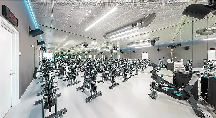 Rented by Platinum Properties | media 27