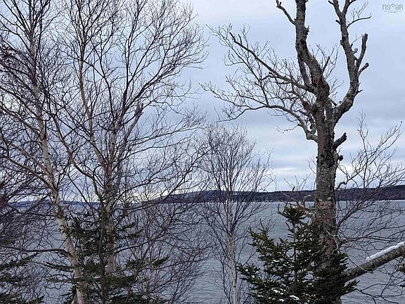 4th image of Kempt Head Rd #98-1