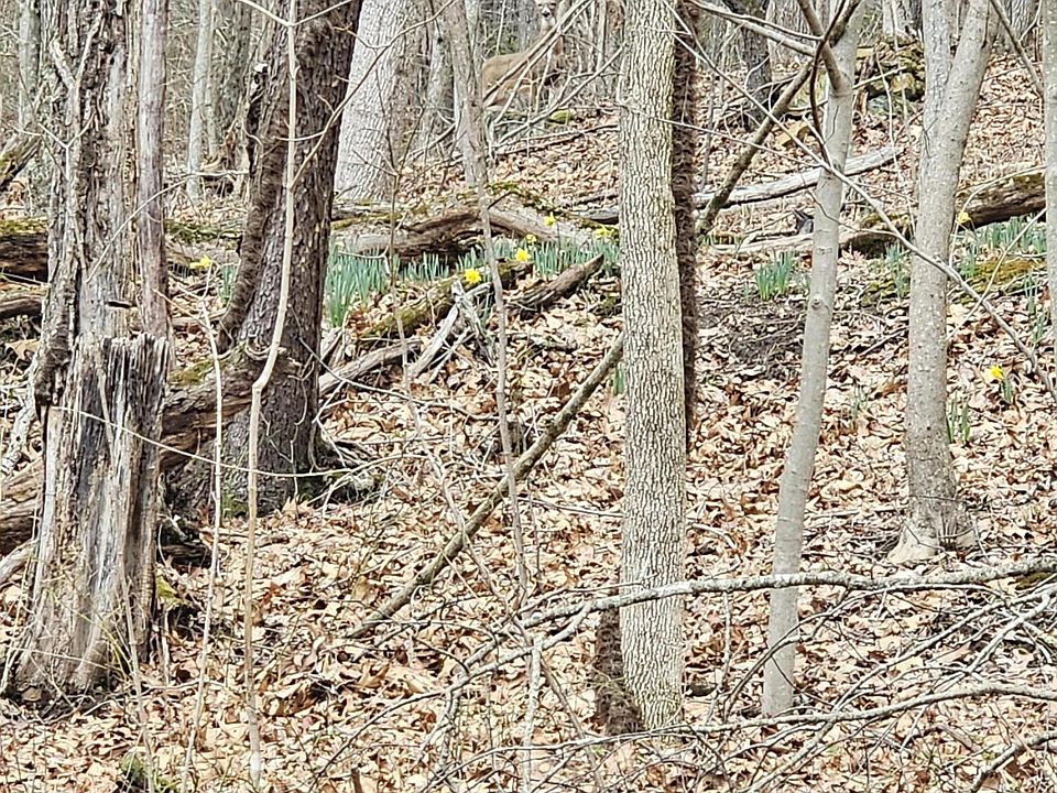 519 King Bluefield WV Zillow