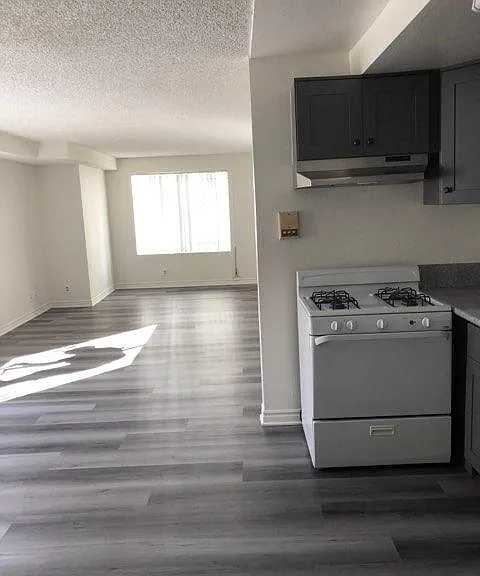 909 Irolo St — Photo 3