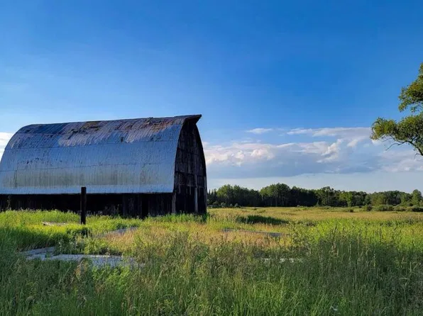 2903 E Wissmiller Rd, Mikado, MI 48745