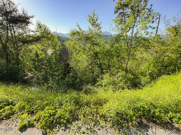 LOT 11 W Pinnacle Dr, Gatlinburg, TN 37738