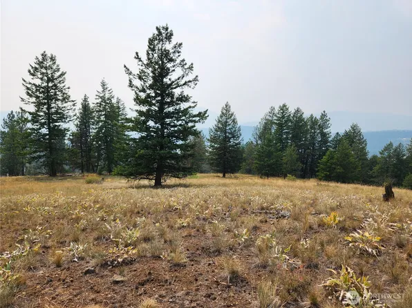 0 TBD Rose Valley Road, Republic, WA 99166