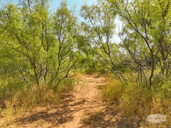 1 Fm 267, Crowell, TX 79227
