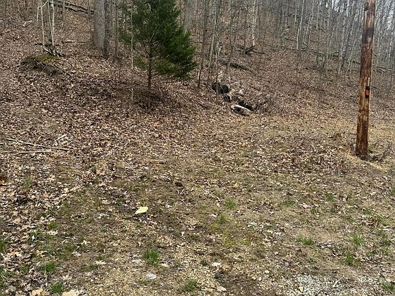 3rd image of 10.57 Peck Pike