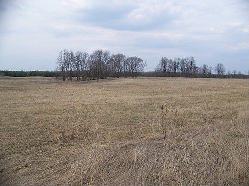 5th image of W14898 Us Highway 45