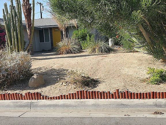 Desert landscaping in front yard