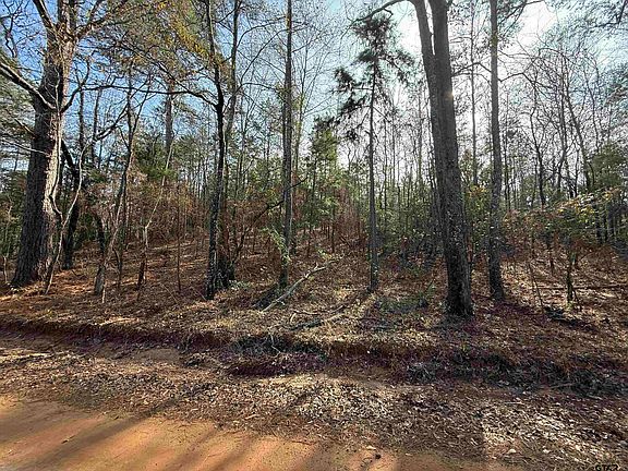 4th image of County Road 2733