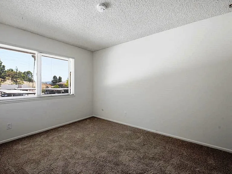 28832 Conejo View Dr — Photo 24