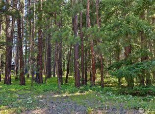 LOT Ten S Lake Cabins Rd, Ronald, WA 98940