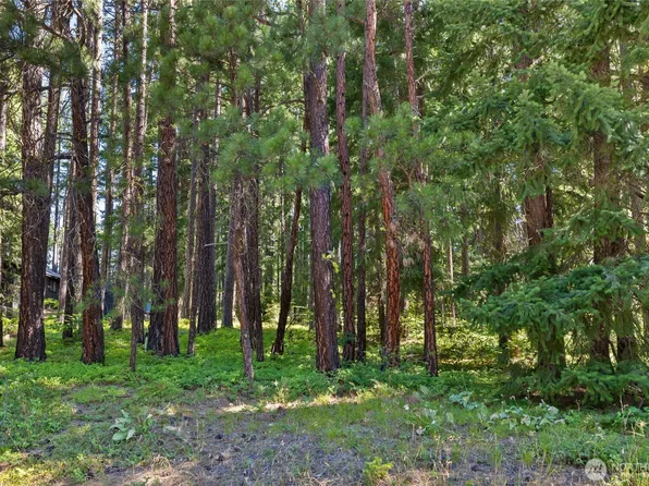 0 Lot 10 S Lake Cabins Road, Ronald, WA 98940