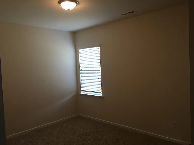 391 Hawks Creek Pkwy — Photo 29