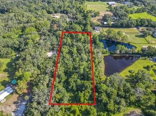 13 Bobcat Ln LOT 13, Osteen, FL 32764