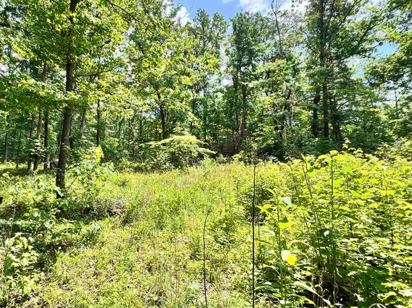 0 Meadow Creek Rd, Clinton, AR 72031