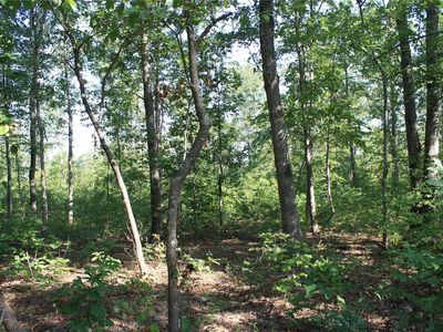 2 County Road 750, Centerville, MO, 63633