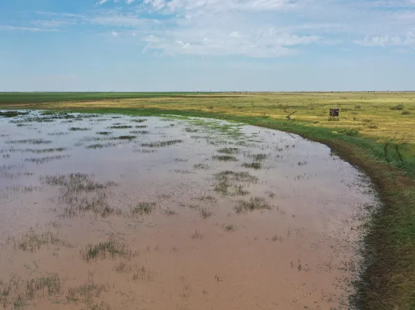 261 Fm, Lockney, TX 79241