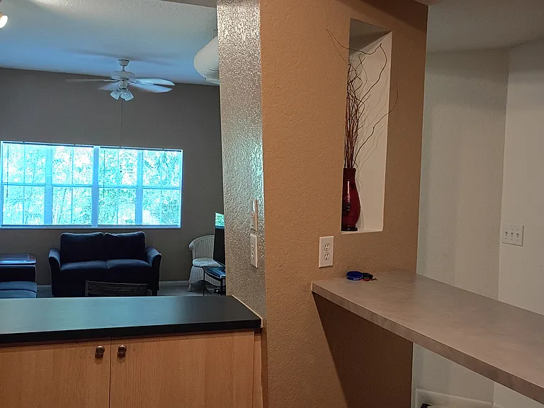 520 S Armenia Ave #1234 — Photo 15