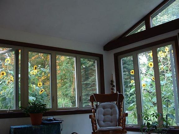 Sunflowers from sun room