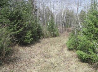 N Swan Rd, Amasa, MI 49903